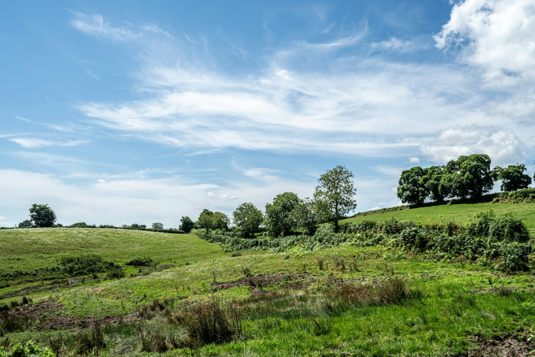 Altitude Dev et Greenhoster : Des sites web perfor...