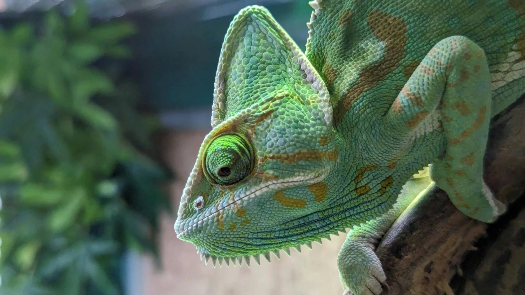 hébergeur web écologique et indépendant en 2025 hébergeur web écologique et indépendant en 2025