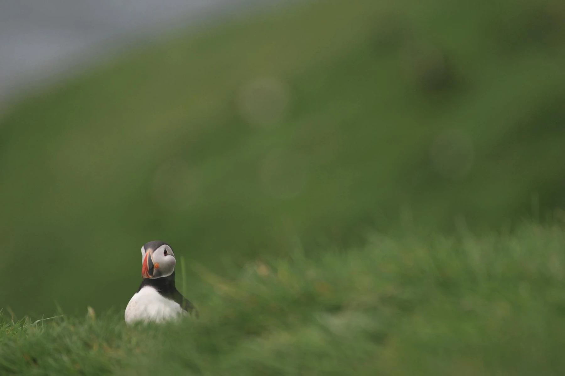 Hébergement Web : Optez pour une solution écologiq...